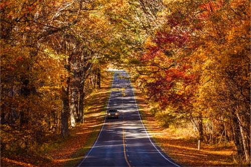 A vehicle driving down a fall roadway in Shenandoah National Park